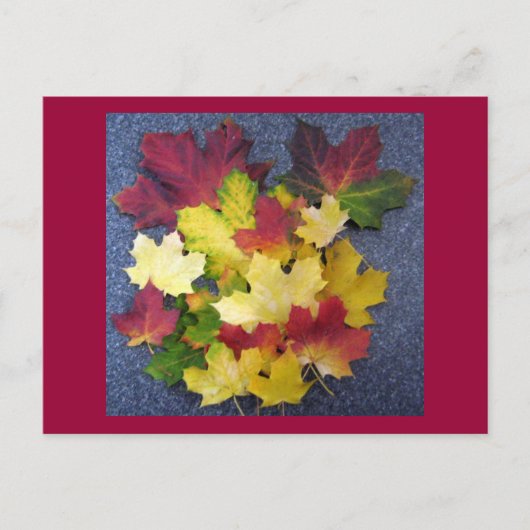 Herbstkollektion Postkarte (Vorderseite)