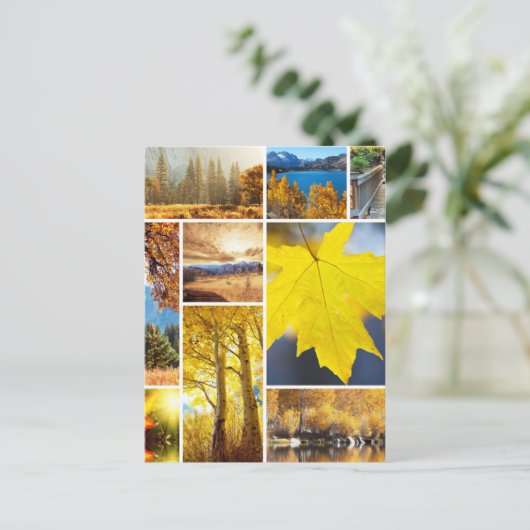 Herbstkollektion Postkarte (Stehend Vorderseite)