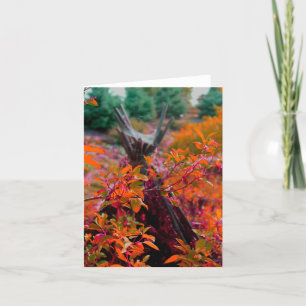 Herbstkollektionanmerkungskarte Karte