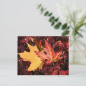Herbstkontrast Postkarte (Stehend Vorderseite)