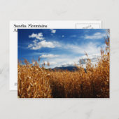 Herbstkornfelder Postkarte (Vorne/Hinten)