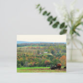 Herbstkühe Postkarte (Stehend Vorderseite)