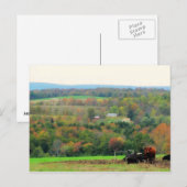 Herbstkühe Postkarte (Vorne/Hinten)