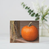 Herbstkürbis auf der Veranda Postkarte (Stehend Vorderseite)