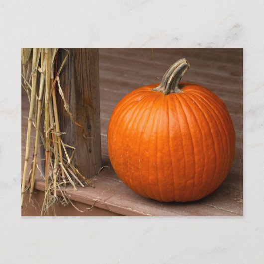 Herbstkürbis auf der Veranda Postkarte (Vorderseite)