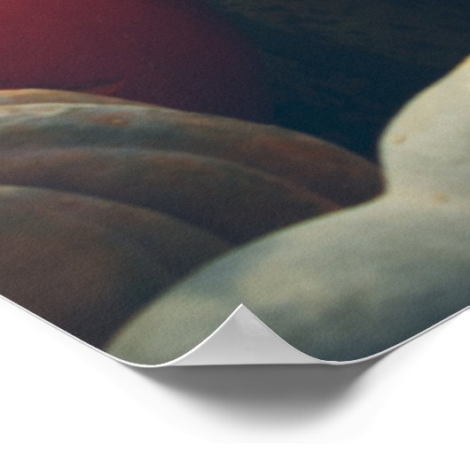 Herbstkürbis in einem rustikalen Garten Poster (Ecke)