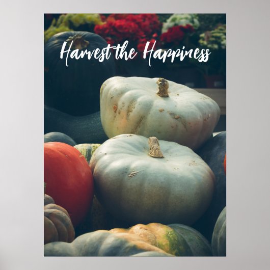 Herbstkürbis in einem rustikalen Garten Poster (Vorne)