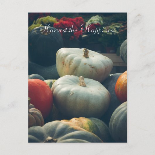 Herbstkürbis in einem rustikalen Garten Postkarte (Vorderseite)