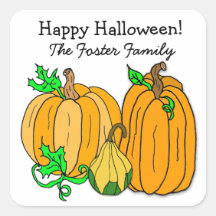 Herbstkürbis und Squash Halloween Herbst Saison