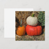 Herbstkürbisse Feiertagskarte (Vorne/Hinten)