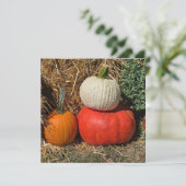 Herbstkürbisse Feiertagskarte (Stehend Vorderseite)