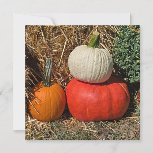 Herbstkürbisse Feiertagskarte (Vorderseite)