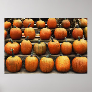 Herbstkürbisse Poster