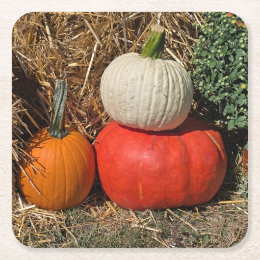 Herbstkürbisse Rechteckiger Pappuntersetzer (Vorderseite)
