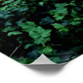 Herbstkürme fallen Farbe Hochzeit Poster (Ecke)