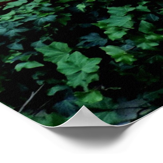 Herbstkürme fallen Farbe Hochzeit Poster (Ecke)