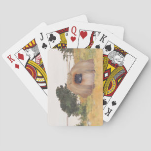 Herbstküste Spielkarten