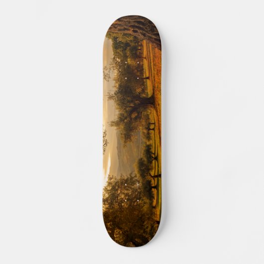 Herbstland Skateboard (Vorderseite)