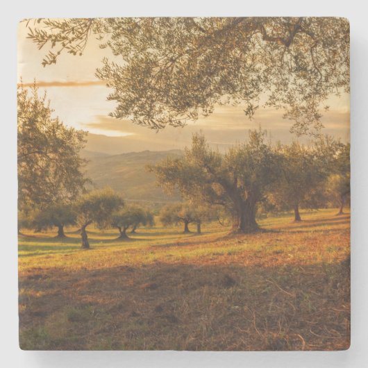 Herbstland Steinuntersetzer (Vorderseite)