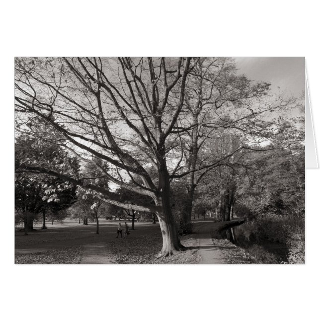 Herbstlandschaft, Bute Park, Cardiff (Vorderseite (Horizontal))