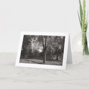 Herbstlandschaft, Bute Park, Cardiff (angrenzend) Karte