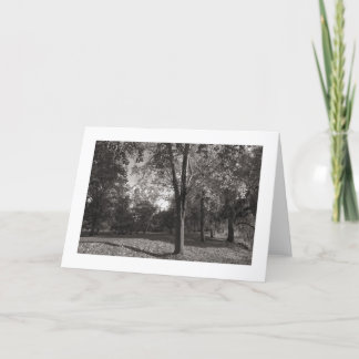 Herbstlandschaft, Bute Park, Cardiff (angrenzend) Karte