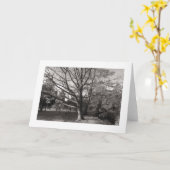 Herbstlandschaft, Bute Park, Cardiff (angrenzend) Karte (Gelbe Blume)