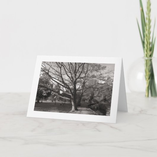 Herbstlandschaft, Bute Park, Cardiff (angrenzend) Karte (Vorderseite)