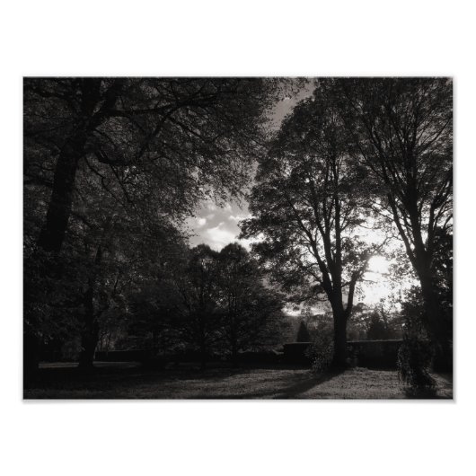 Herbstlandschaft Bute Park Cardiff Fotodruck (Vorne)