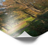 Herbstlandschaft, Bute Park, Cardiff Fotodruck (Ecke)