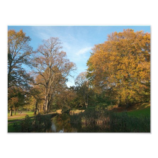 Herbstlandschaft, Bute Park, Cardiff Fotodruck (Vorne)