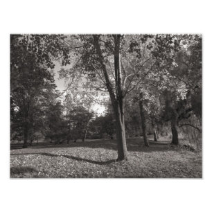 Herbstlandschaft, Bute Park, Cardiff Fotodruck