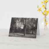 Herbstlandschaft, Bute Park, Cardiff Karte (Gelbe Blume)