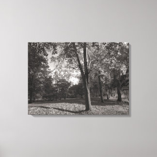 Herbstlandschaft, Bute Park, Cardiff Leinwanddruck