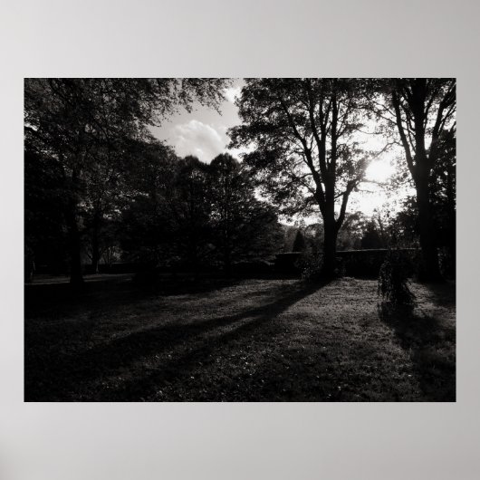Herbstlandschaft Bute Park Cardiff Poster (Vorne)
