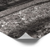 Herbstlandschaft Bute Park Cardiff Poster (Ecke)