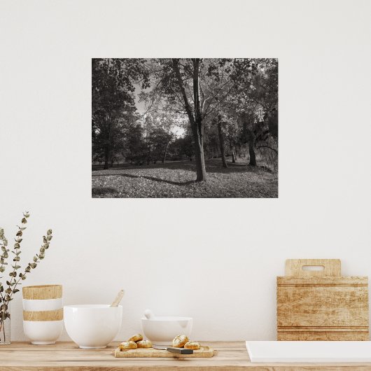 Herbstlandschaft Bute Park Cardiff Poster (Küche)