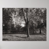 Herbstlandschaft Bute Park Cardiff Poster (Vorne)