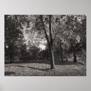 Herbstlandschaft Bute Park Cardiff Poster