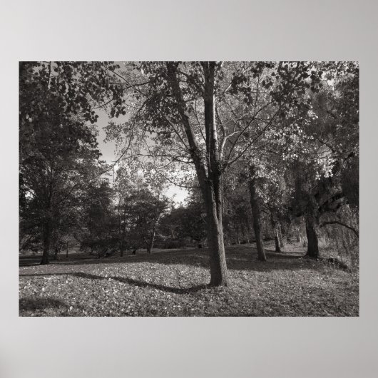 Herbstlandschaft Bute Park Cardiff Poster (Vorne)