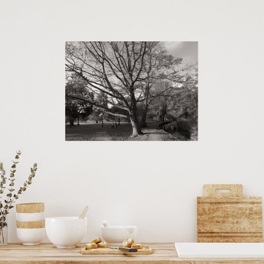 Herbstlandschaft Bute Park Cardiff Poster (Küche)