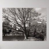 Herbstlandschaft Bute Park Cardiff Poster (Vorne)