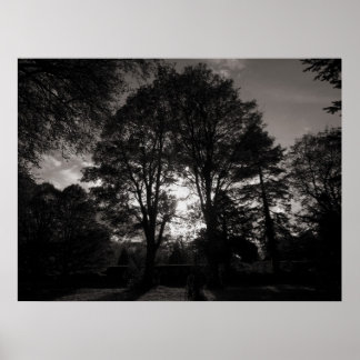 Herbstlandschaft Bute Park Cardiff Poster