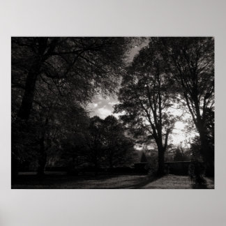 Herbstlandschaft Bute Park Cardiff Poster