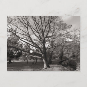 Herbstlandschaft Bute Park Cardiff Postkarte