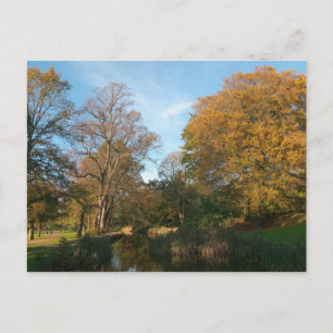 Herbstlandschaft Bute Park Cardiff Postkarte