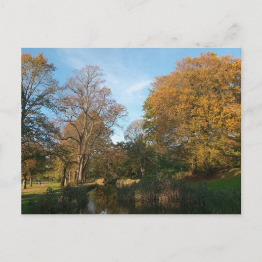 Herbstlandschaft Bute Park Cardiff Postkarte (Vorderseite)