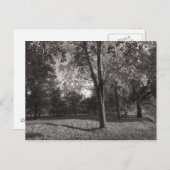 Herbstlandschaft Bute Park Cardiff Postkarte (Vorne/Hinten)