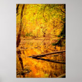 Herbstlandschaft Foto Naturwall Poster (Vorne)