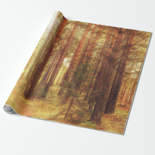 Herbstlandschaft Hintergrund, Sonnenstrahlen im Wa Geschenkpapier